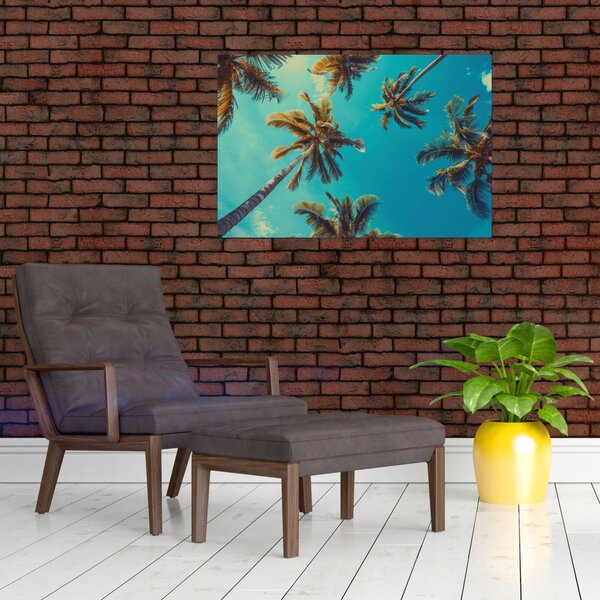 Kép - Magas pálmafák (90x60 cm)