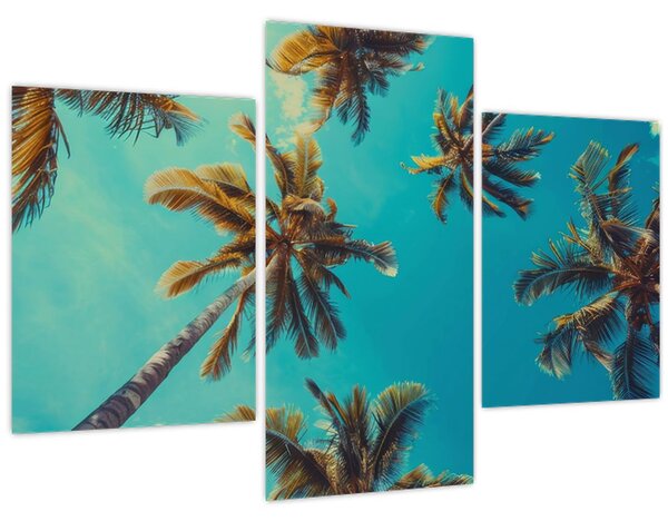 Kép - Magas pálmafák (90x60 cm)
