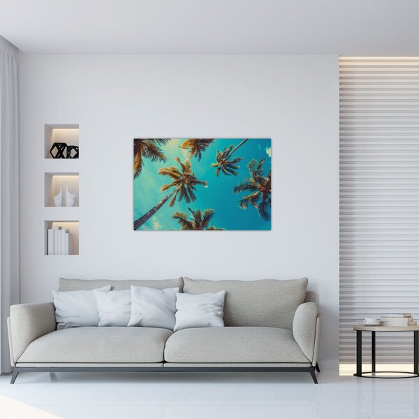 Kép - Magas pálmafák (90x60 cm)