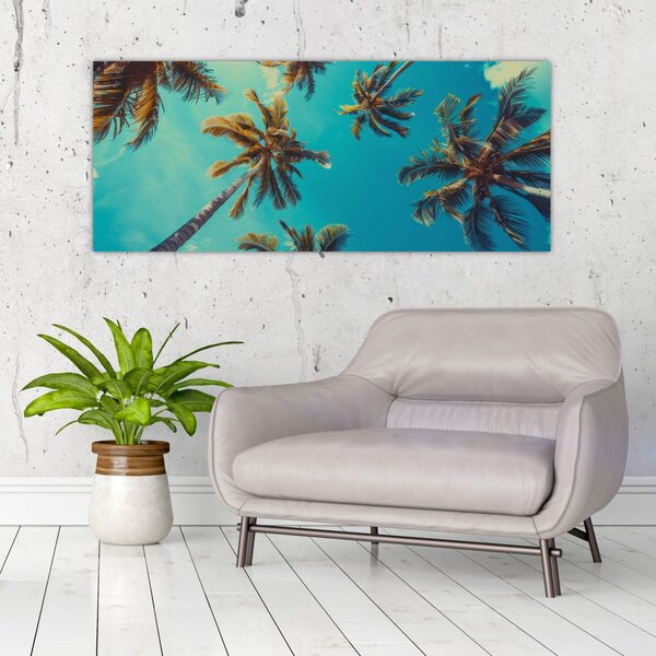 Kép - Magas pálmafák (120x50 cm)