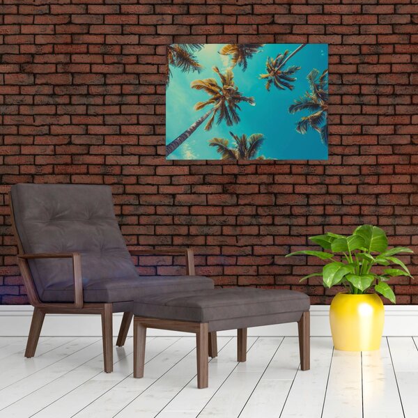 Kép - Magas pálmafák (70x50 cm)