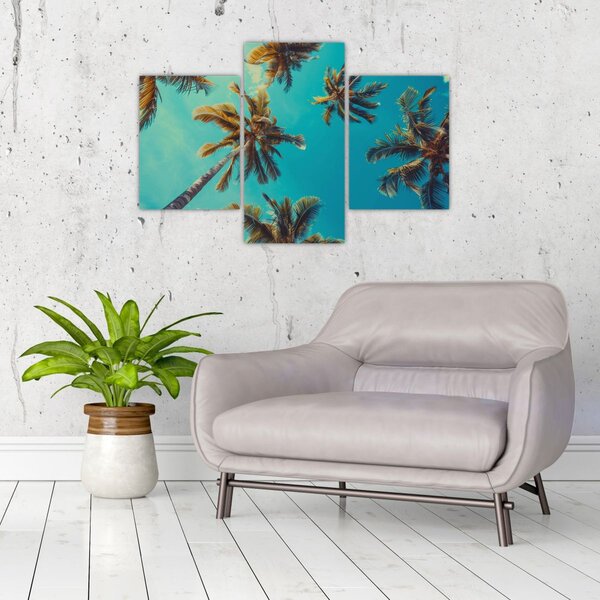 Kép - Magas pálmafák (90x60 cm)