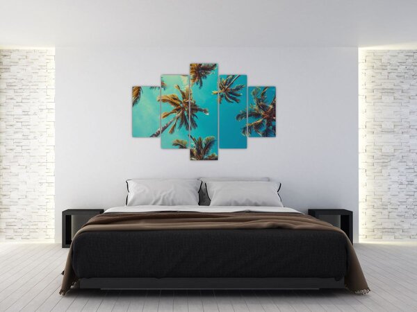 Kép - Magas pálmafák (150x105 cm)