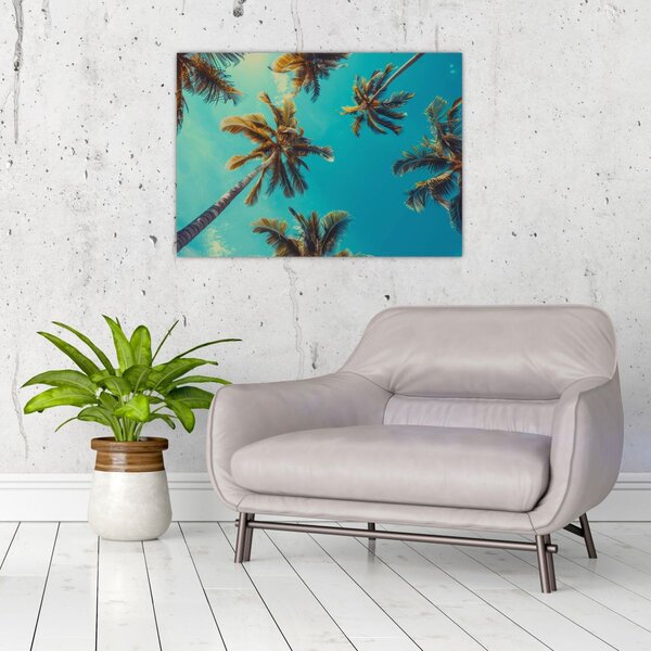 Kép - Magas pálmafák (70x50 cm)
