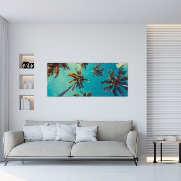 Kép - Magas pálmafák (120x50 cm)