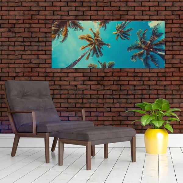 Kép - Magas pálmafák (120x50 cm)