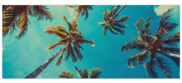 Kép - Magas pálmafák (120x50 cm)