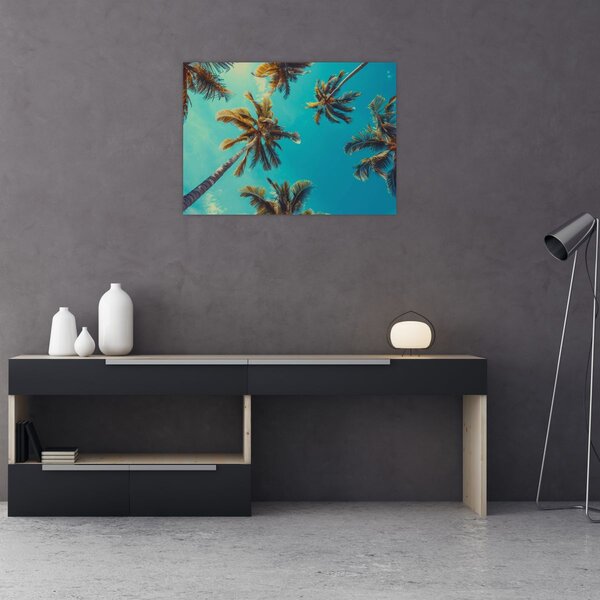 Kép - Magas pálmafák (70x50 cm)
