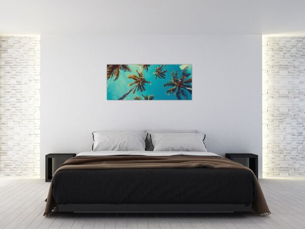 Kép - Magas pálmafák (120x50 cm)
