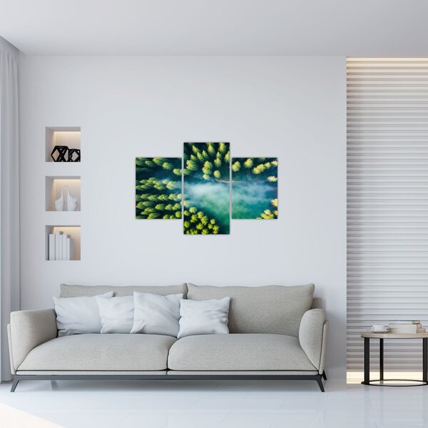 Kép - Egy ködbe burkolt erdő (90x60 cm)