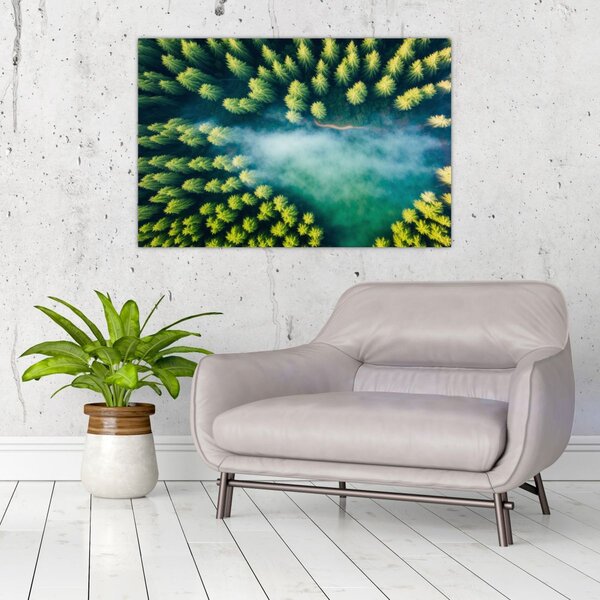 Kép - Egy ködbe burkolt erdő (90x60 cm)