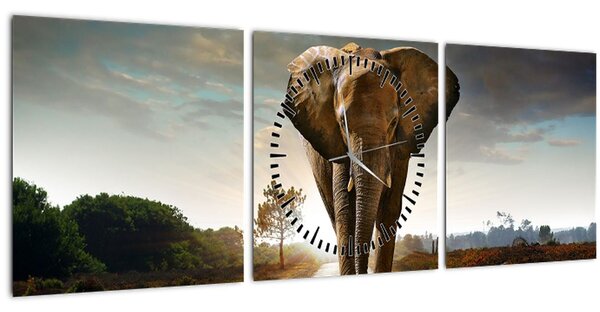 Elefánt képe (órával) (90x30 cm)