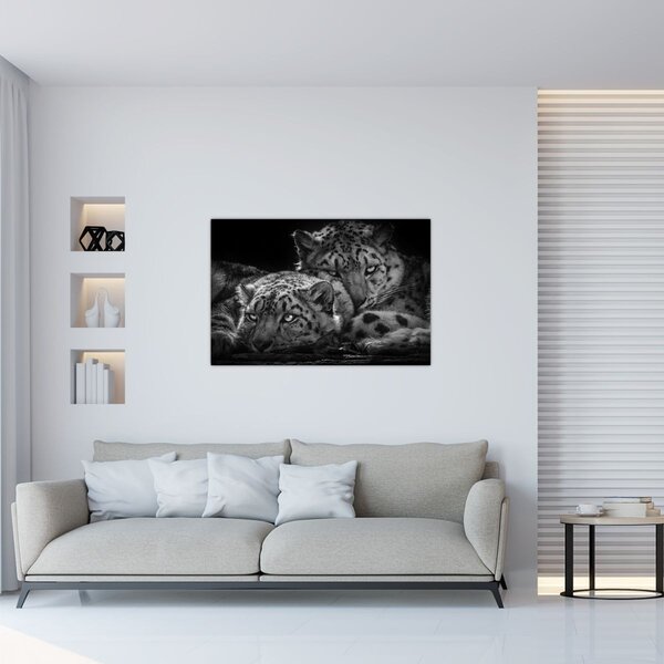 Kép - Pihenő gepárdok (90x60 cm)