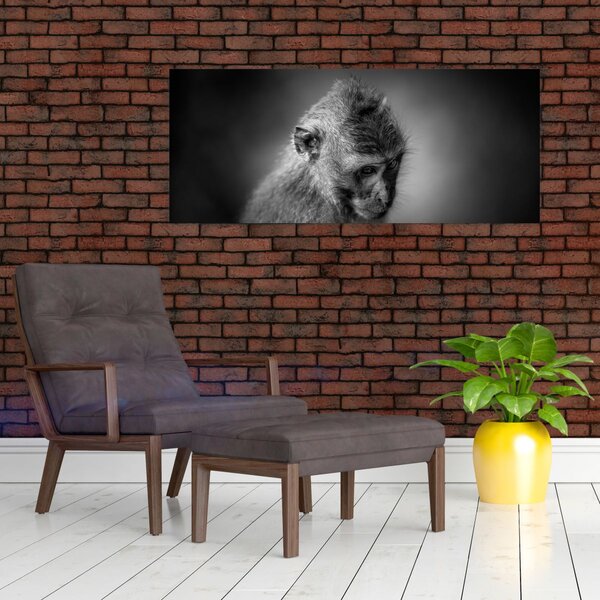 Kép - Majom (120x50 cm)
