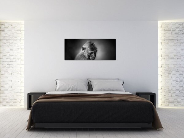 Kép - Majom (120x50 cm)