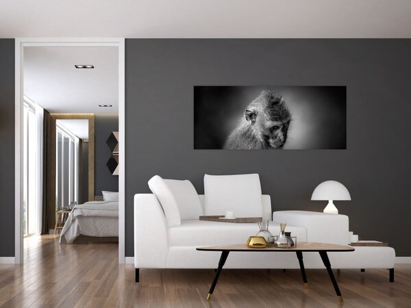 Kép - Majom (120x50 cm)