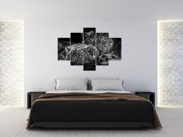 Kép - Pihenő gepárdok (150x105 cm)