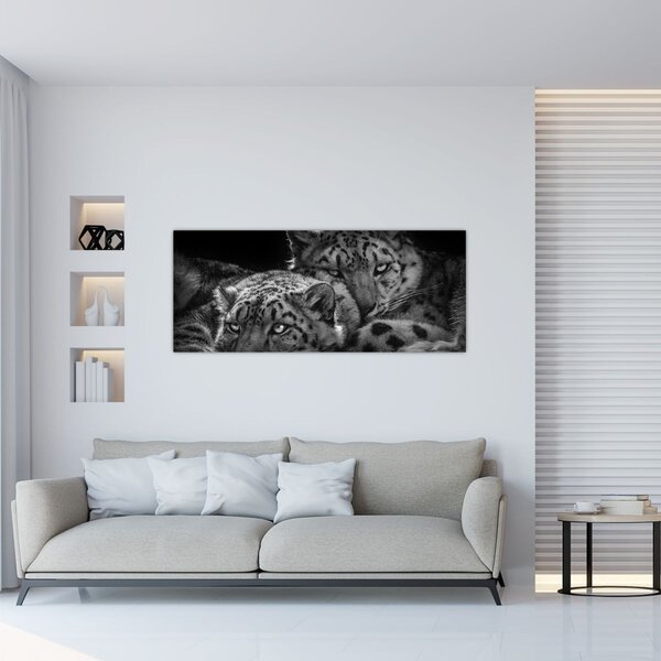 Kép - Pihenő gepárdok (120x50 cm)