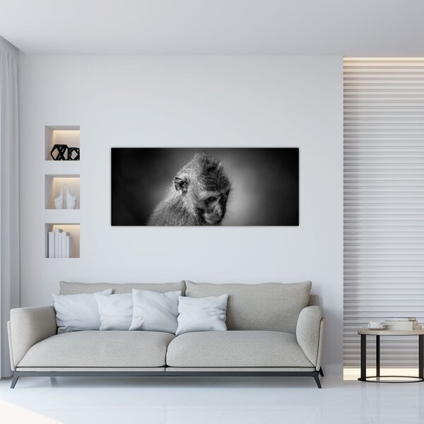 Kép - Majom (120x50 cm)