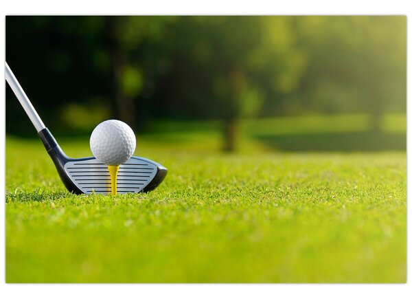 Kép - Golf (90x60 cm)