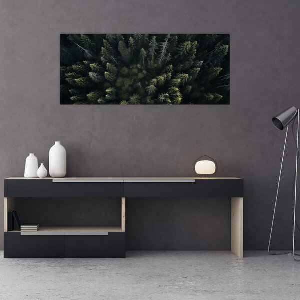Kép - Forest (120x50 cm)