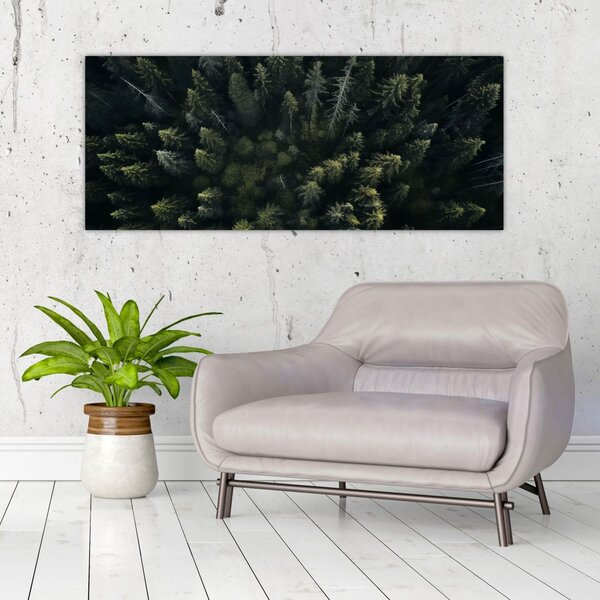 Kép - Forest (120x50 cm)