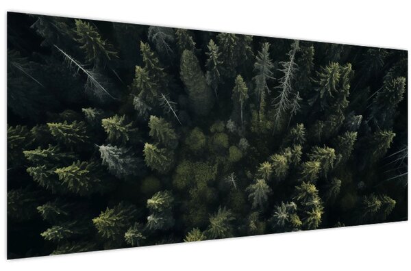 Kép - Forest (120x50 cm)