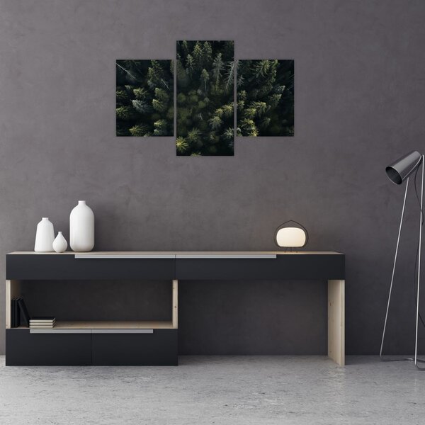 Kép - Forest (90x60 cm)