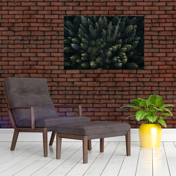 Kép - Forest (90x60 cm)