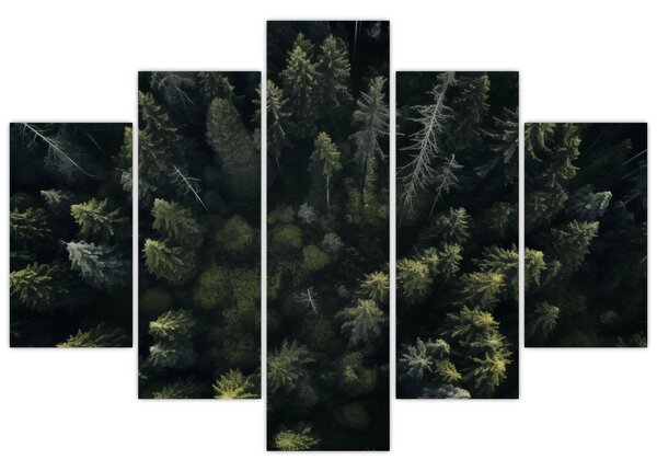 Kép - Forest (150x105 cm)