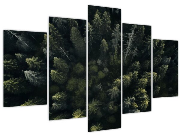 Kép - Forest (150x105 cm)