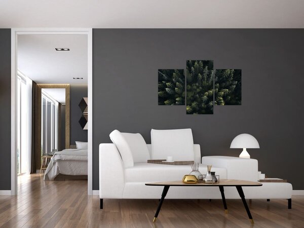 Kép - Forest (90x60 cm)