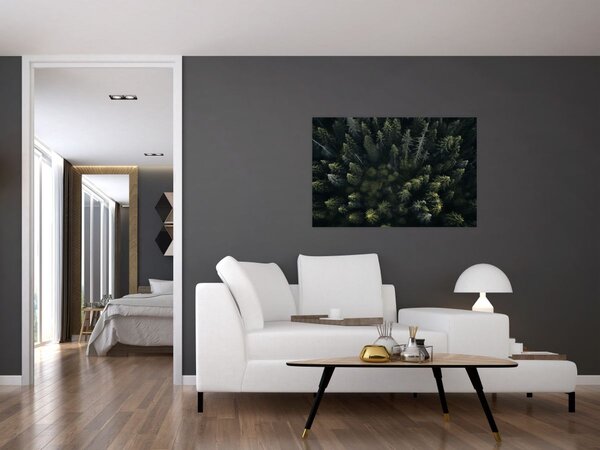 Kép - Forest (90x60 cm)