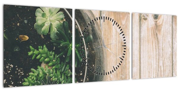A pozsgás növények képe üvegben (órával) (90x30 cm)