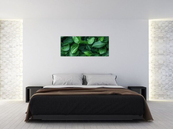 Kép - Zöld levelek (120x50 cm)