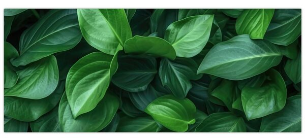 Kép - Zöld levelek (120x50 cm)
