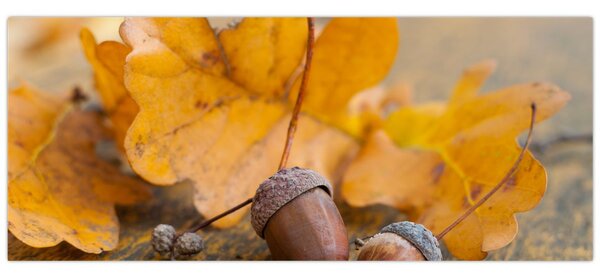Kép - Őszi makk (120x50 cm)