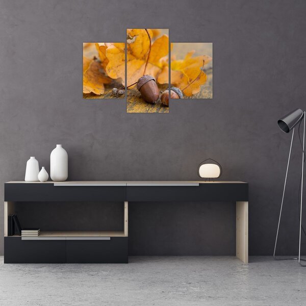 Kép - Őszi makk (90x60 cm)