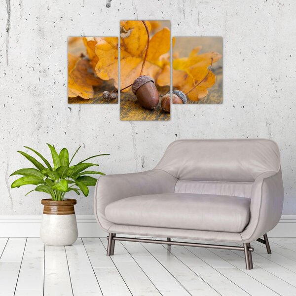 Kép - Őszi makk (90x60 cm)