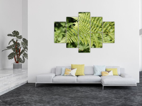 Kép - Páfránylevél (150x105 cm)