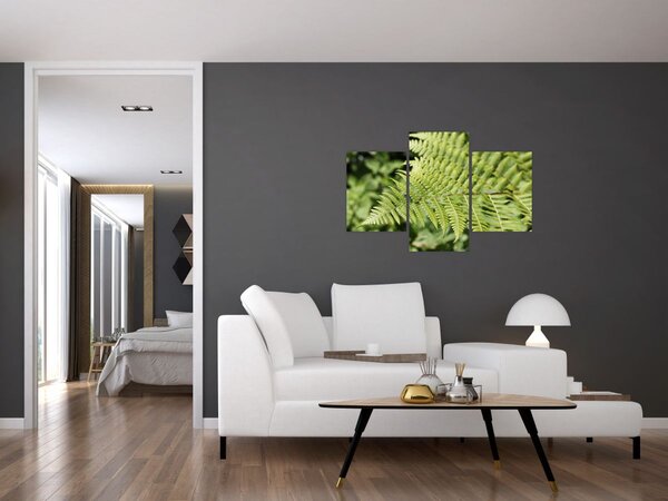 Kép - Páfránylevél (90x60 cm)