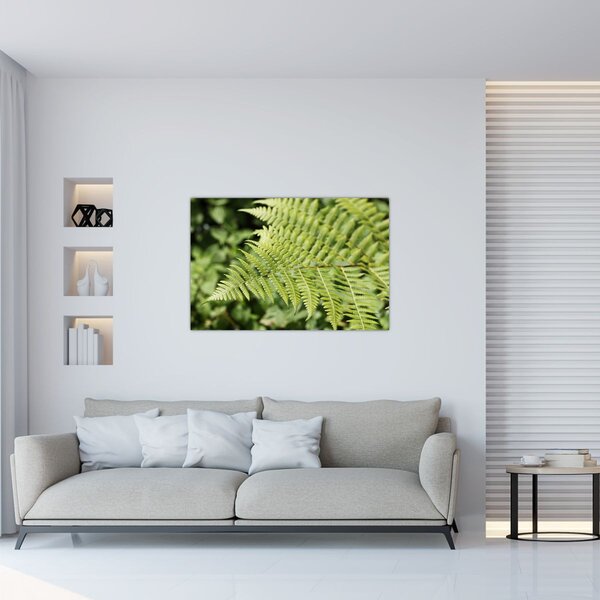 Kép - Páfránylevél (90x60 cm)