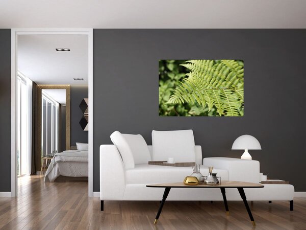 Kép - Páfránylevél (90x60 cm)