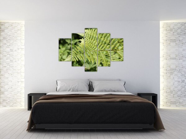 Kép - Páfránylevél (150x105 cm)