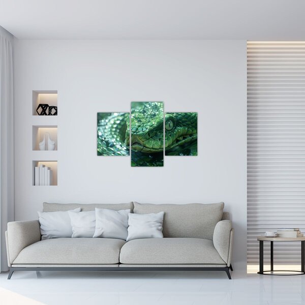 Kép - Egy kígyó portréja (90x60 cm)