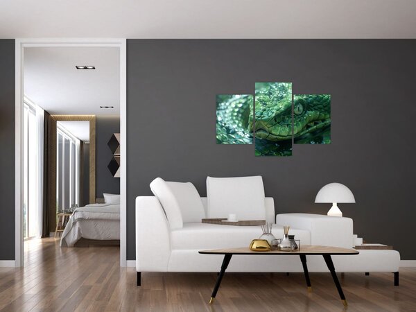 Kép - Egy kígyó portréja (90x60 cm)