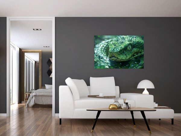 Kép - Egy kígyó portréja (90x60 cm)
