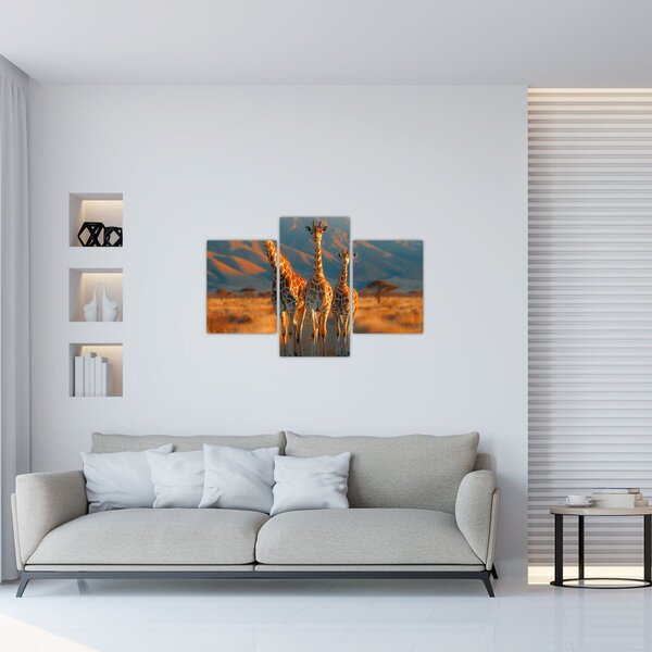 Kép - Zsiráfok a legelőn (90x60 cm)