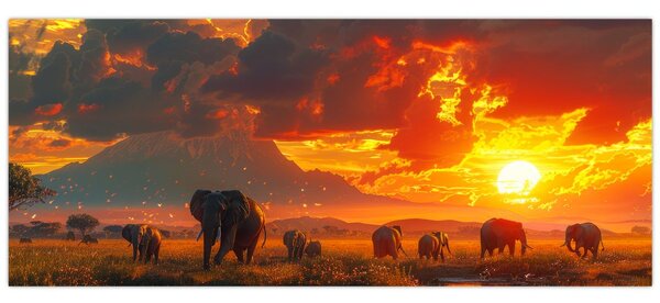 Kép - Elefántcsorda (120x50 cm)
