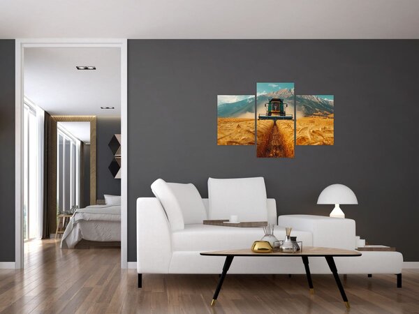 Kép - Zemedelec (90x60 cm)